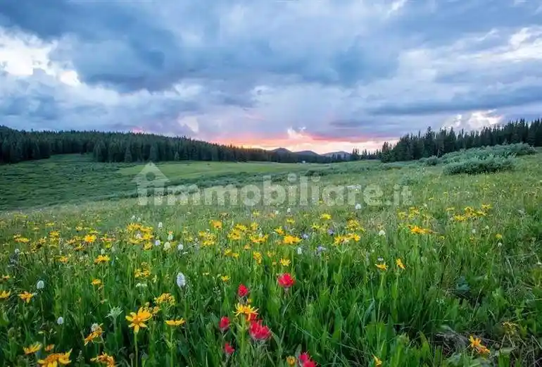 Villa in vendita a Roma