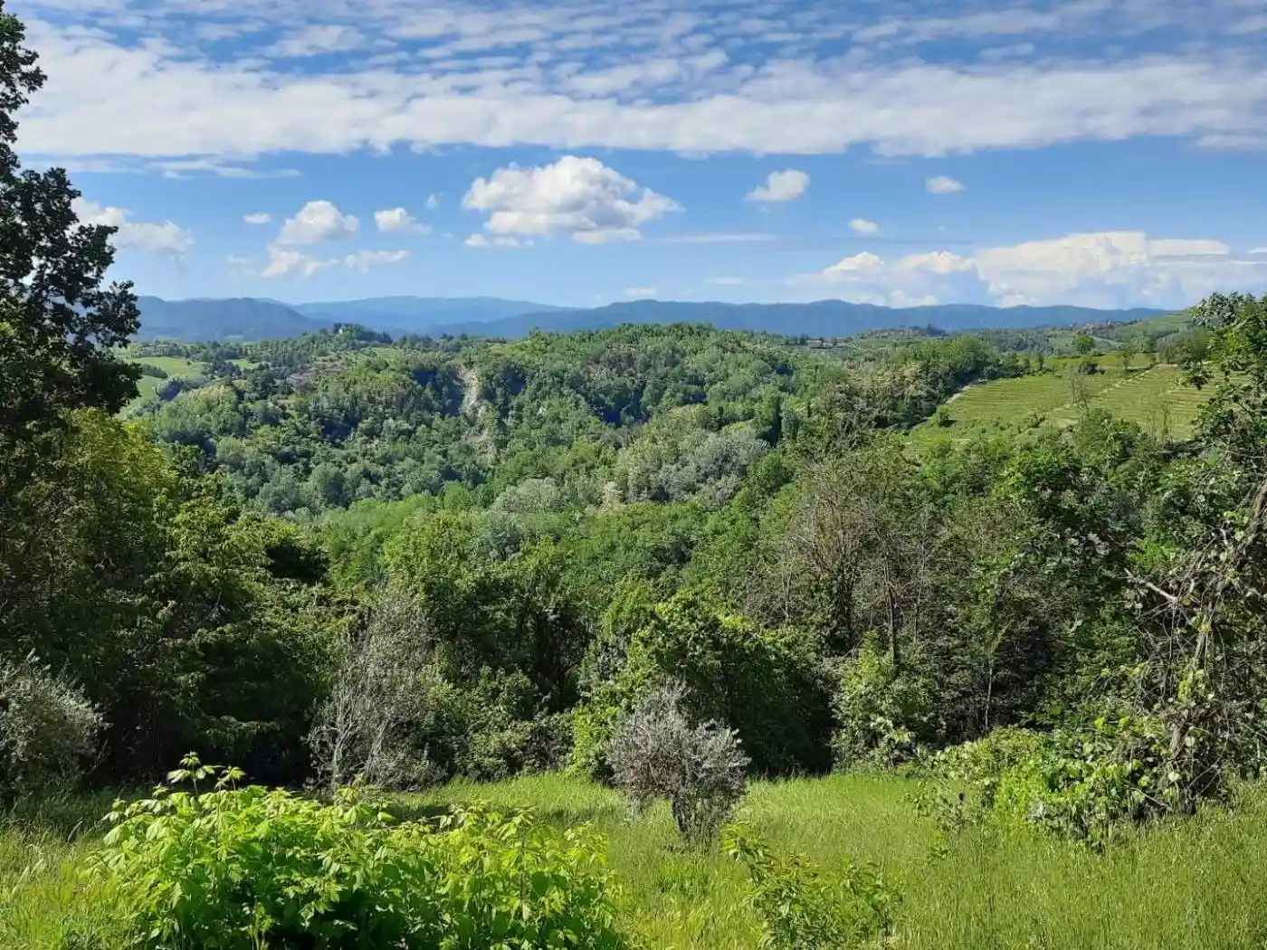 Villa in vendita a Rocca Grimalda