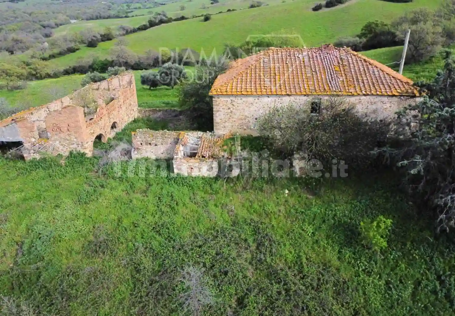 Rustico - Casale - foto 5