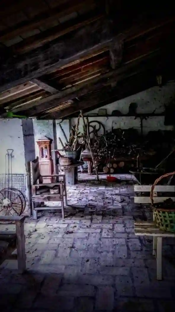 Rustico - Casale - foto 5