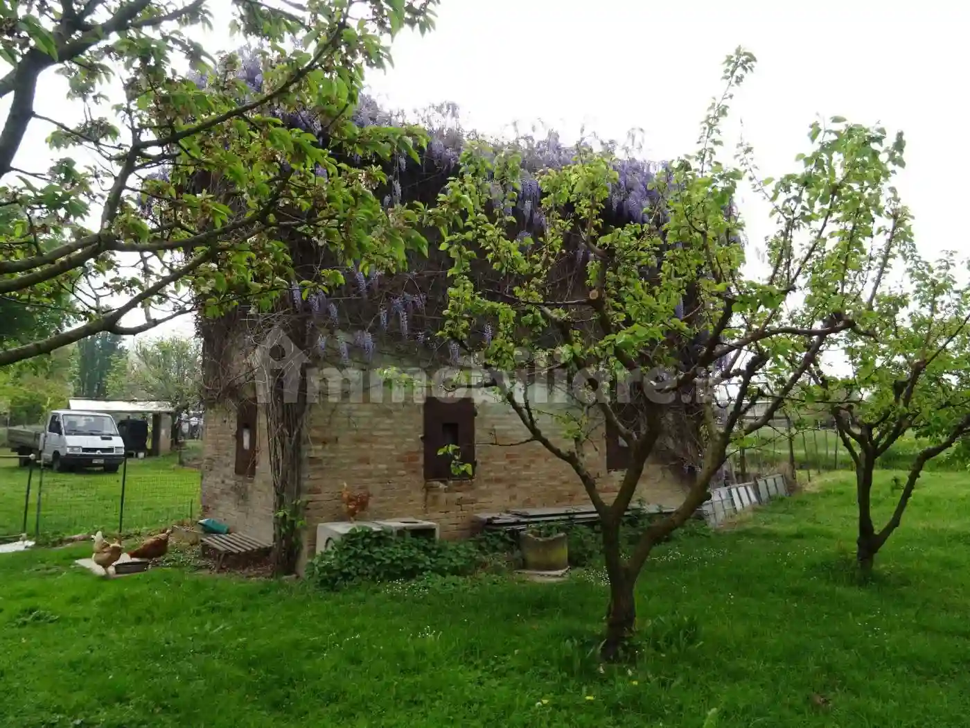 Rustico - Casale - foto 4