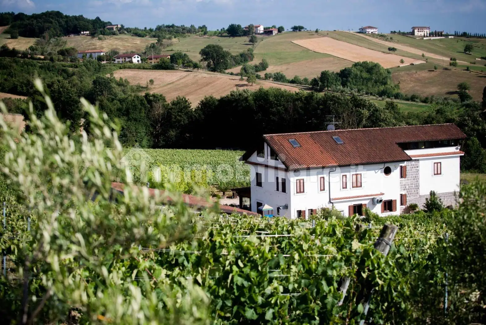 Casale via Regina, Alvignano - foto 2