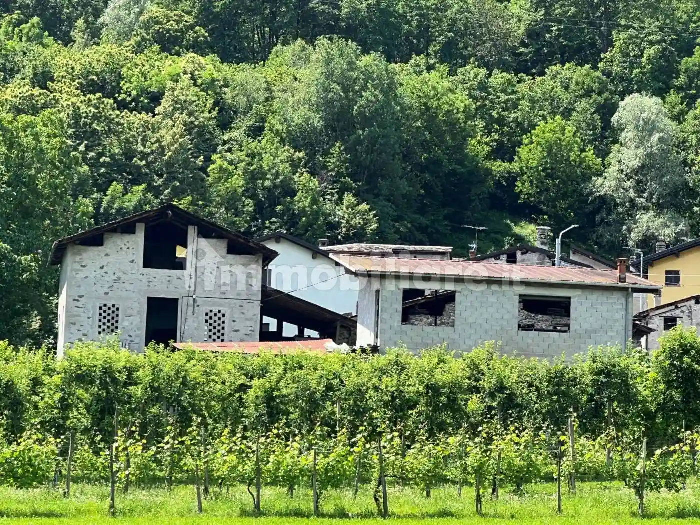 Rustico - Casale - foto 2