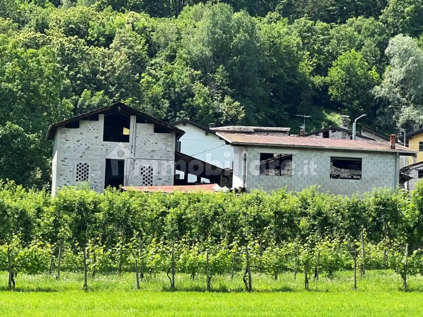 Rustico - Casale - foto 3