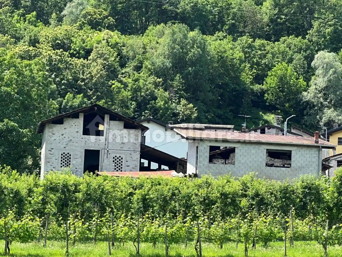 Rustico - Casale - foto 4