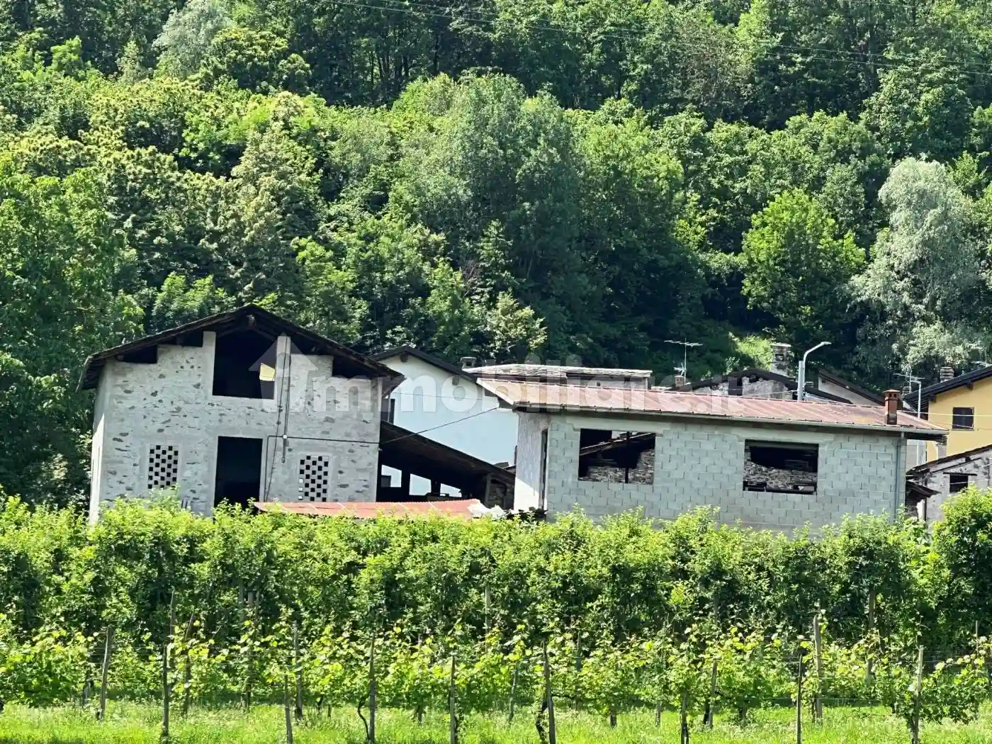 Rustico - Casale - foto 5