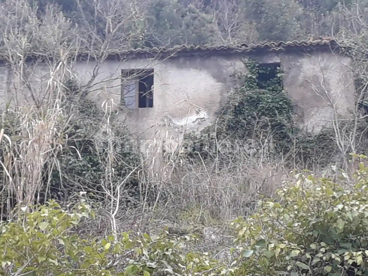 Rustico - Casale in vendita a Patrica