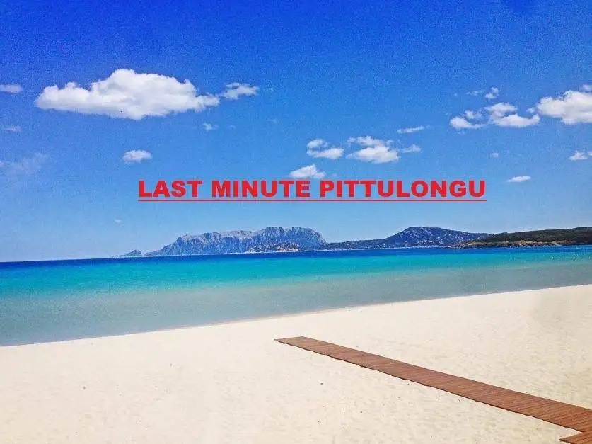 Appartamento in affitto a Olbia