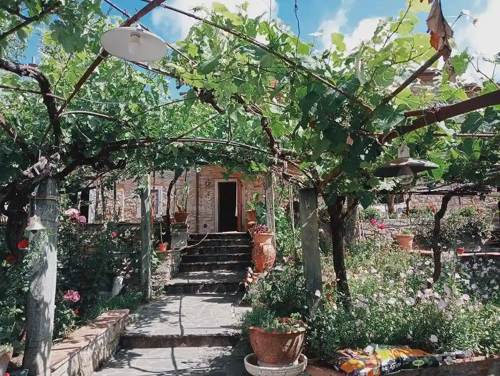 Casa indipendente - foto 5