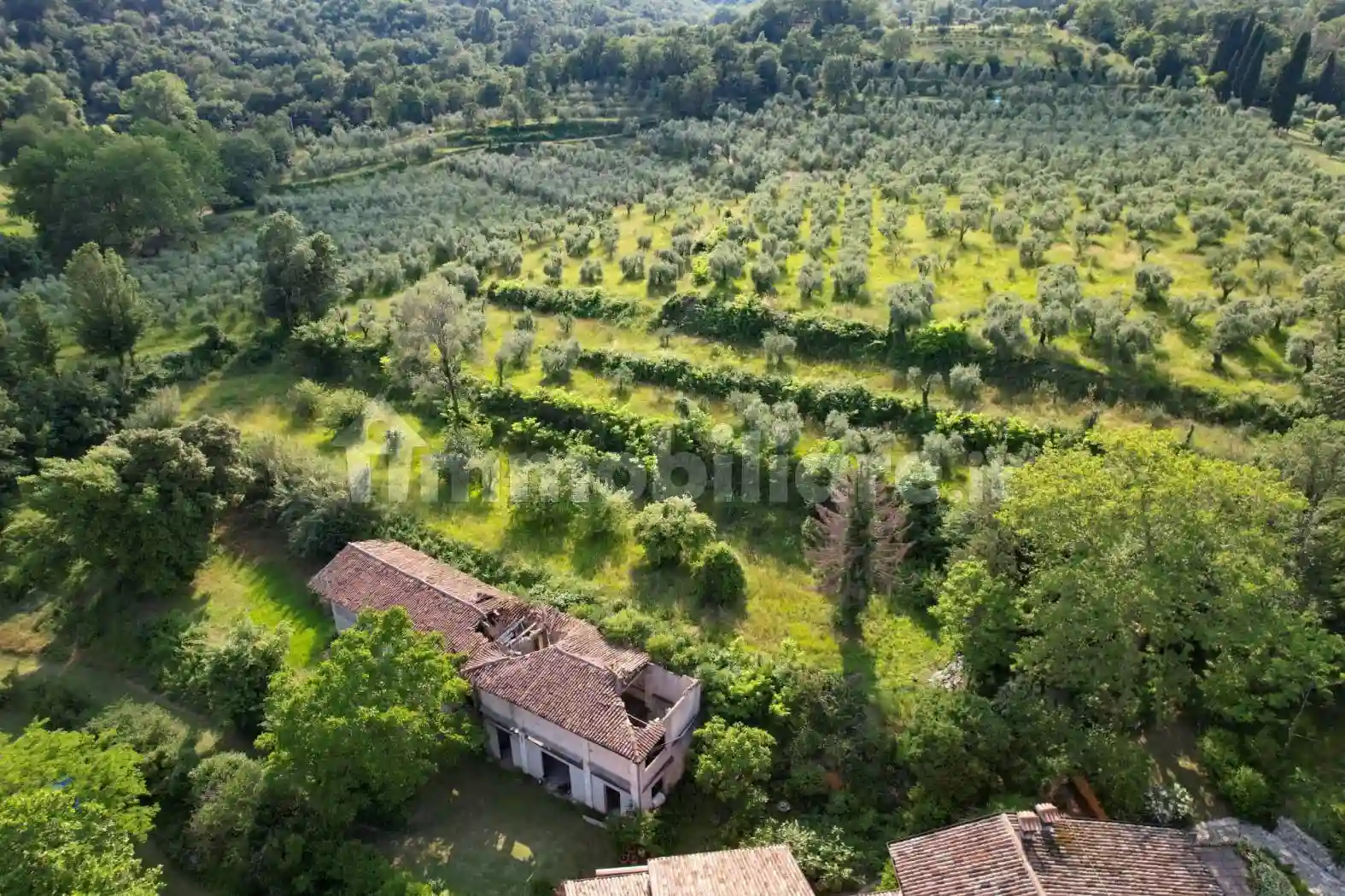 Rustico - Casale - foto 3