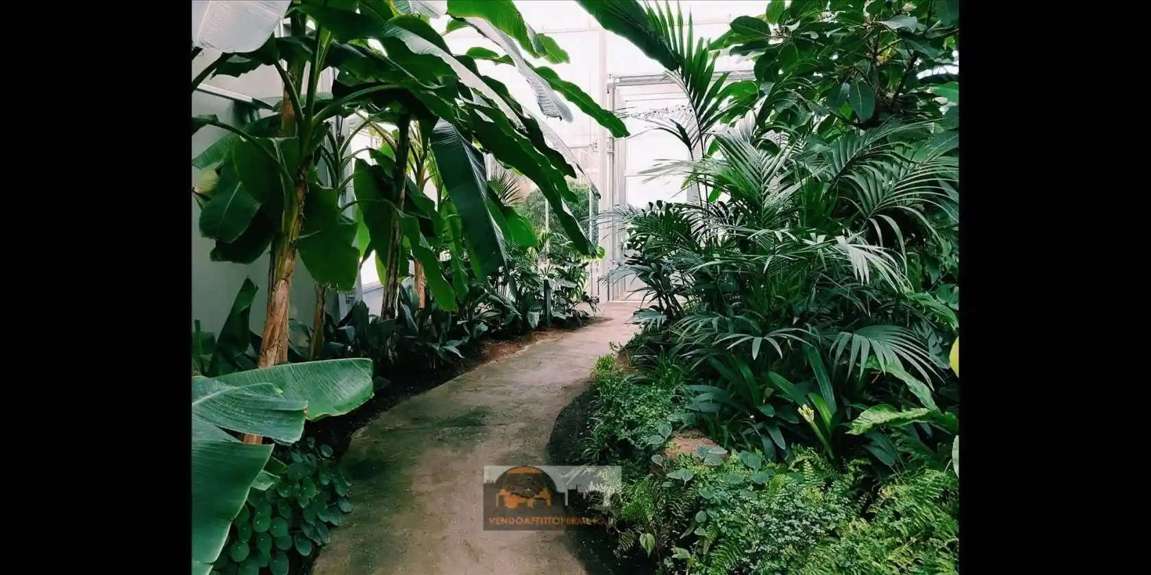 Villa in vendita a Pontoglio