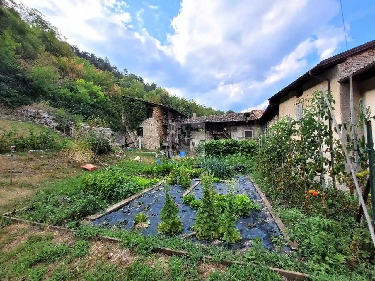 Rustico - Casale - foto 5