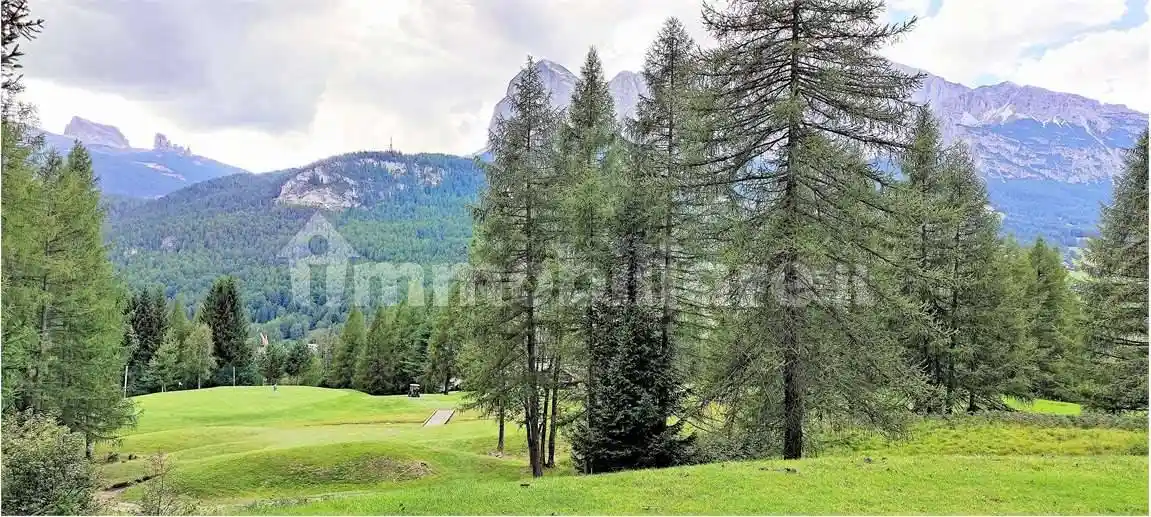 Appartamento in vendita a Cortina d'Ampezzo