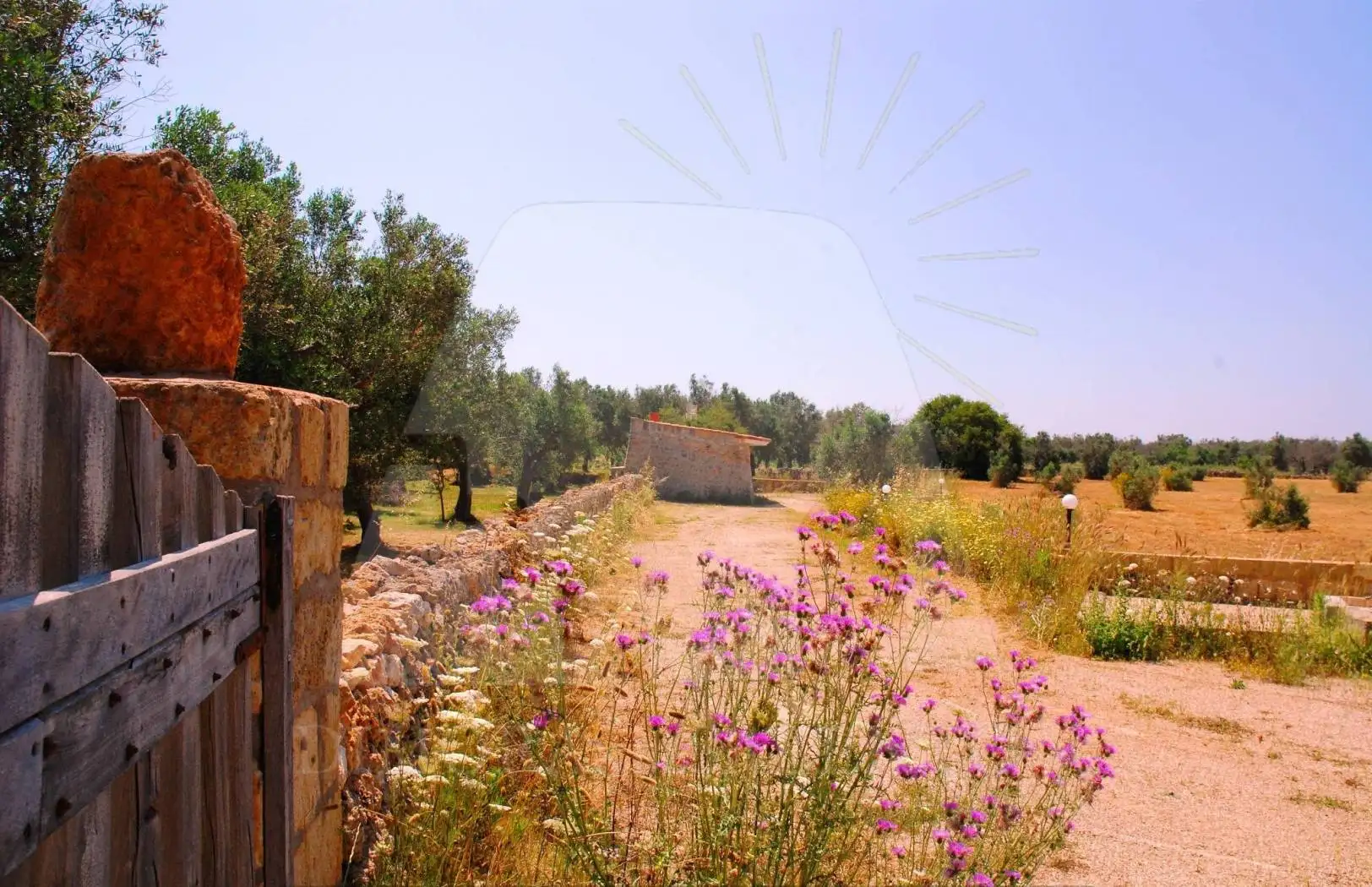 Rustico - Casale in vendita a Tiggiano