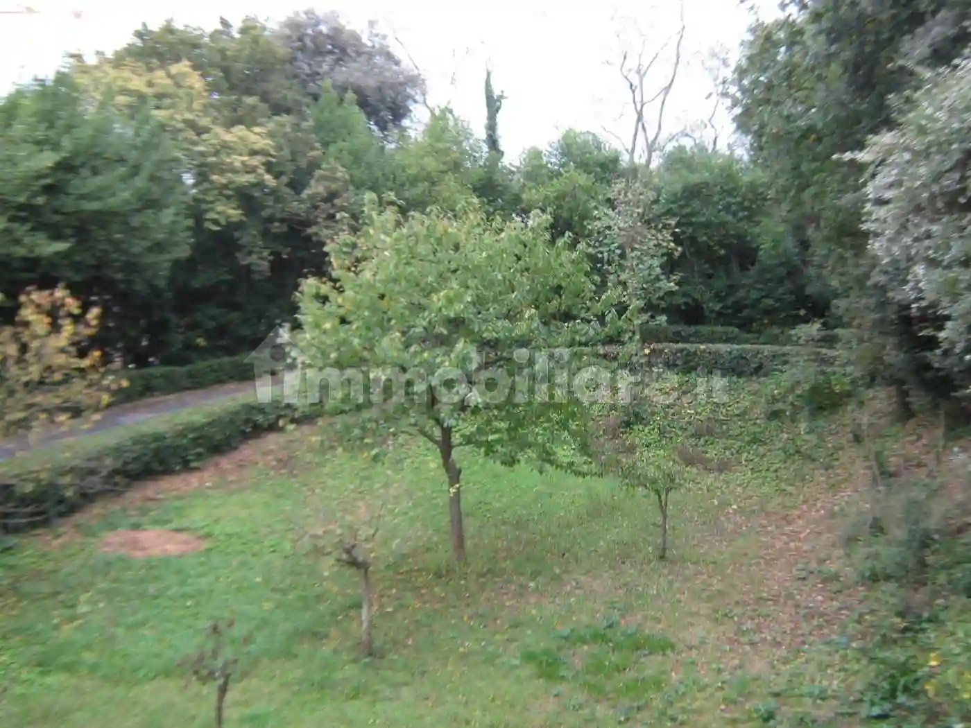 Palazzo - Edificio - foto 3