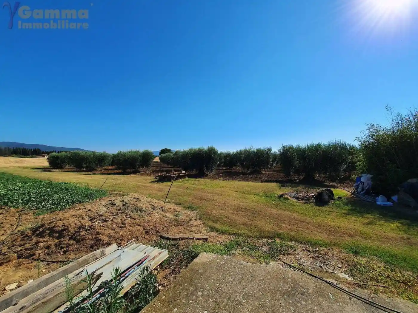 Villa in vendita a Orbetello