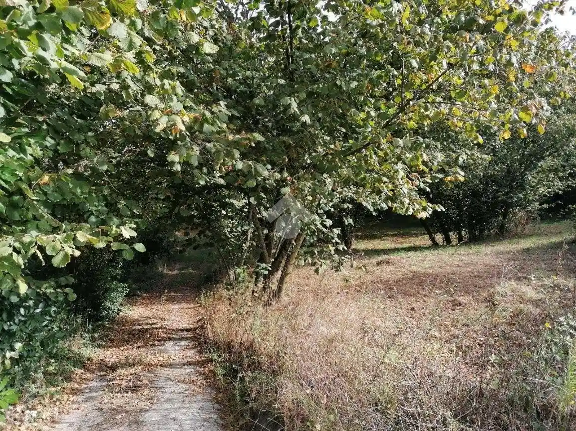 Terratetto unifamiliare Contrada Archi 8, Picarelli, Rione Ferrovia, Archi, Avellino - foto 5