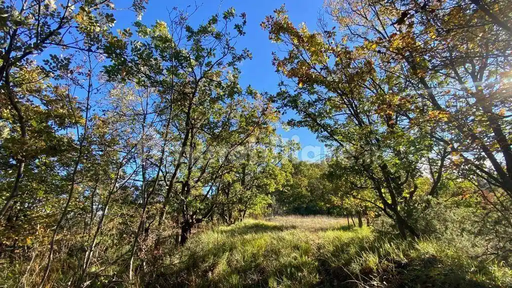 Rustico - Casale in vendita a Ponzone