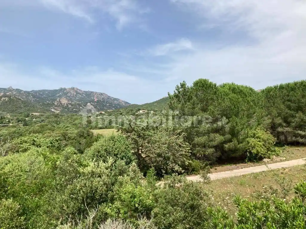 Villa in vendita a Arzachena