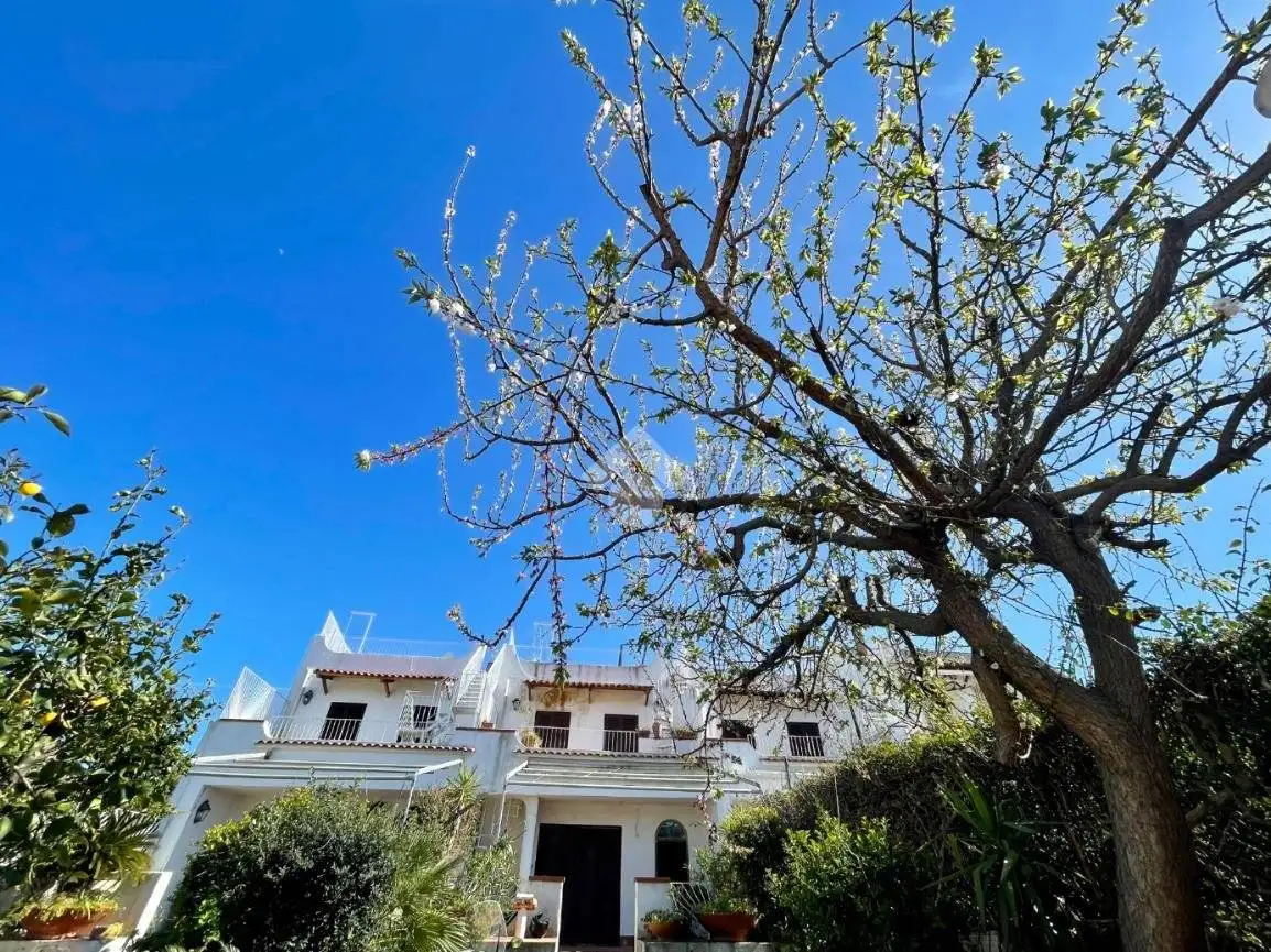 Villetta a schiera in vendita a Lacco Ameno