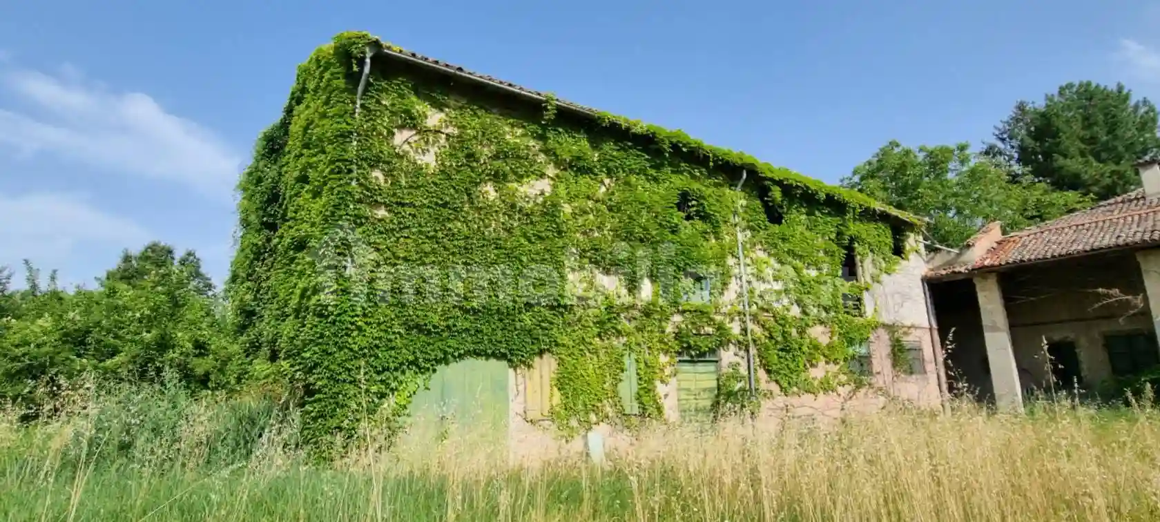 Rustico - Casale - foto 4
