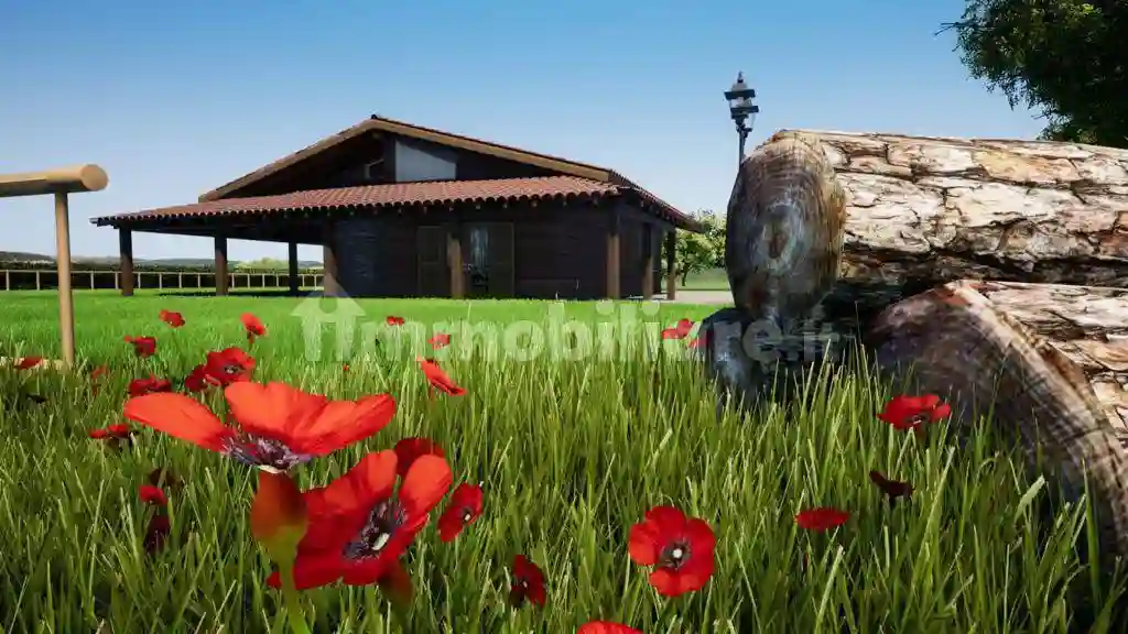 Rustico - Casale - foto 5