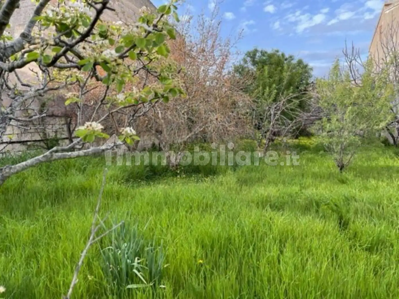 Palazzo - Edificio in vendita a Tresnuraghes