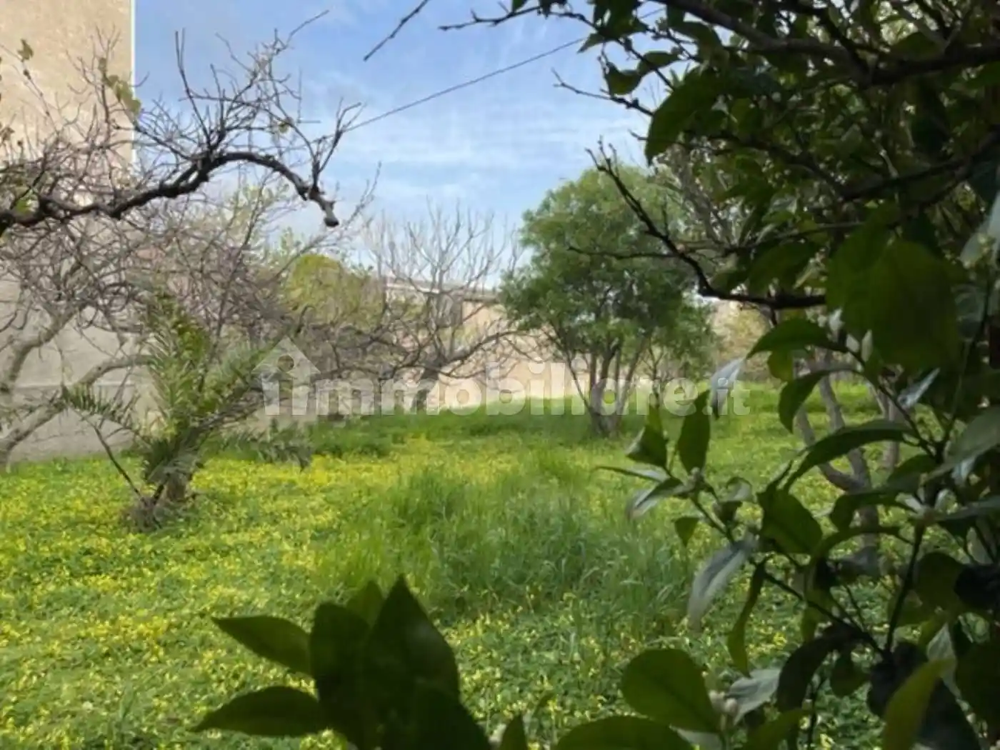 Palazzo - Edificio - foto 3