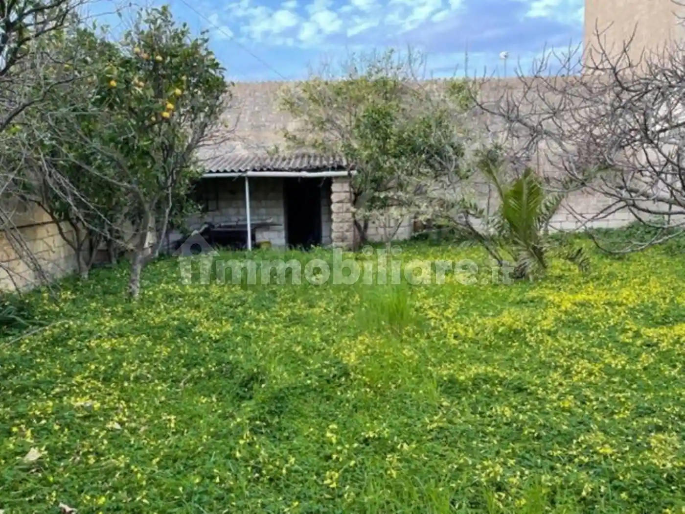 Palazzo - Edificio - foto 5