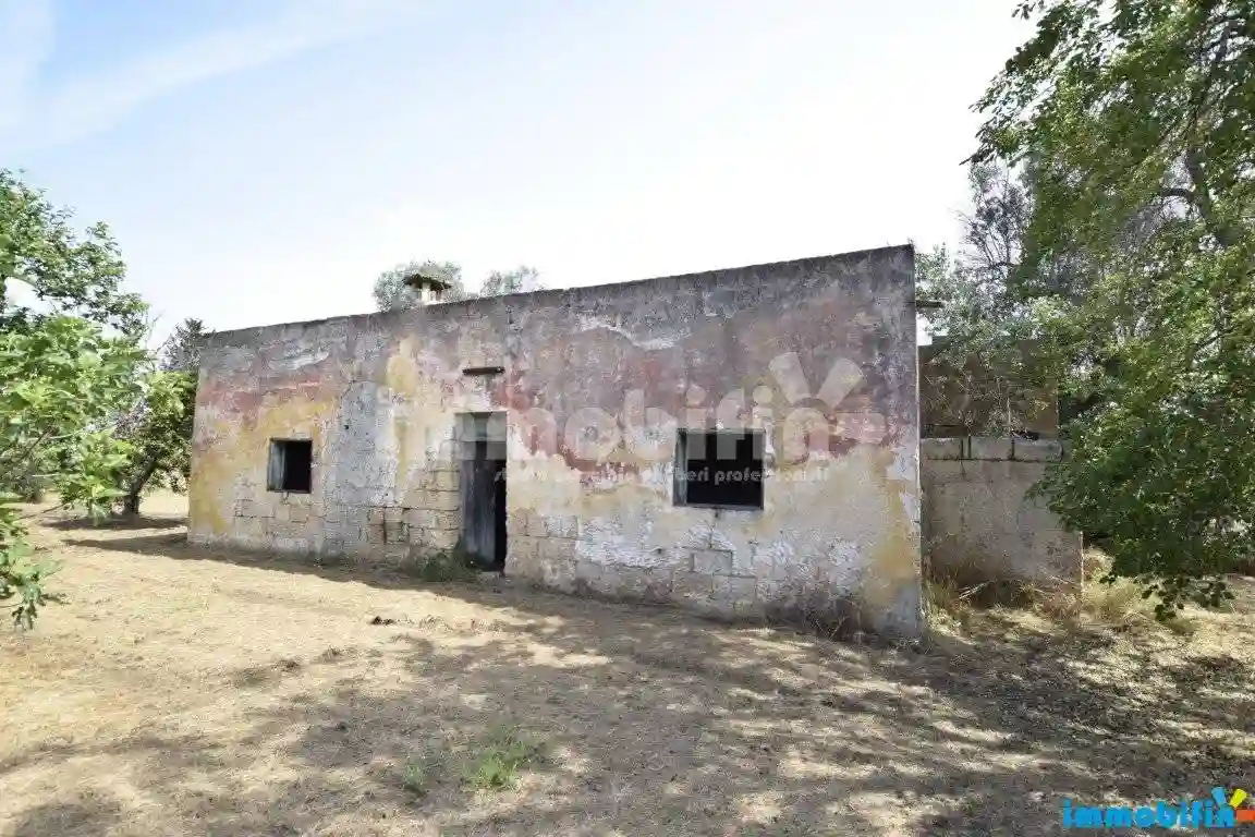 Rustico - Casale - foto 2