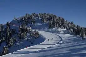 Albergo in Vendita - foto 5