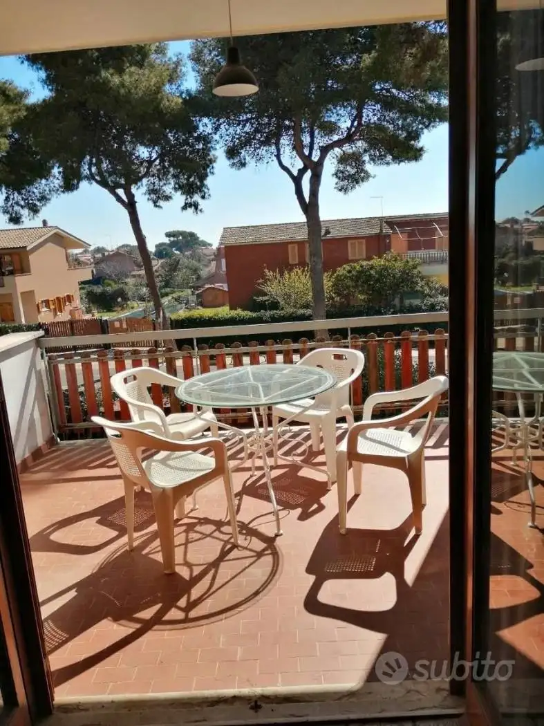 Appartamento in affitto a Ladispoli