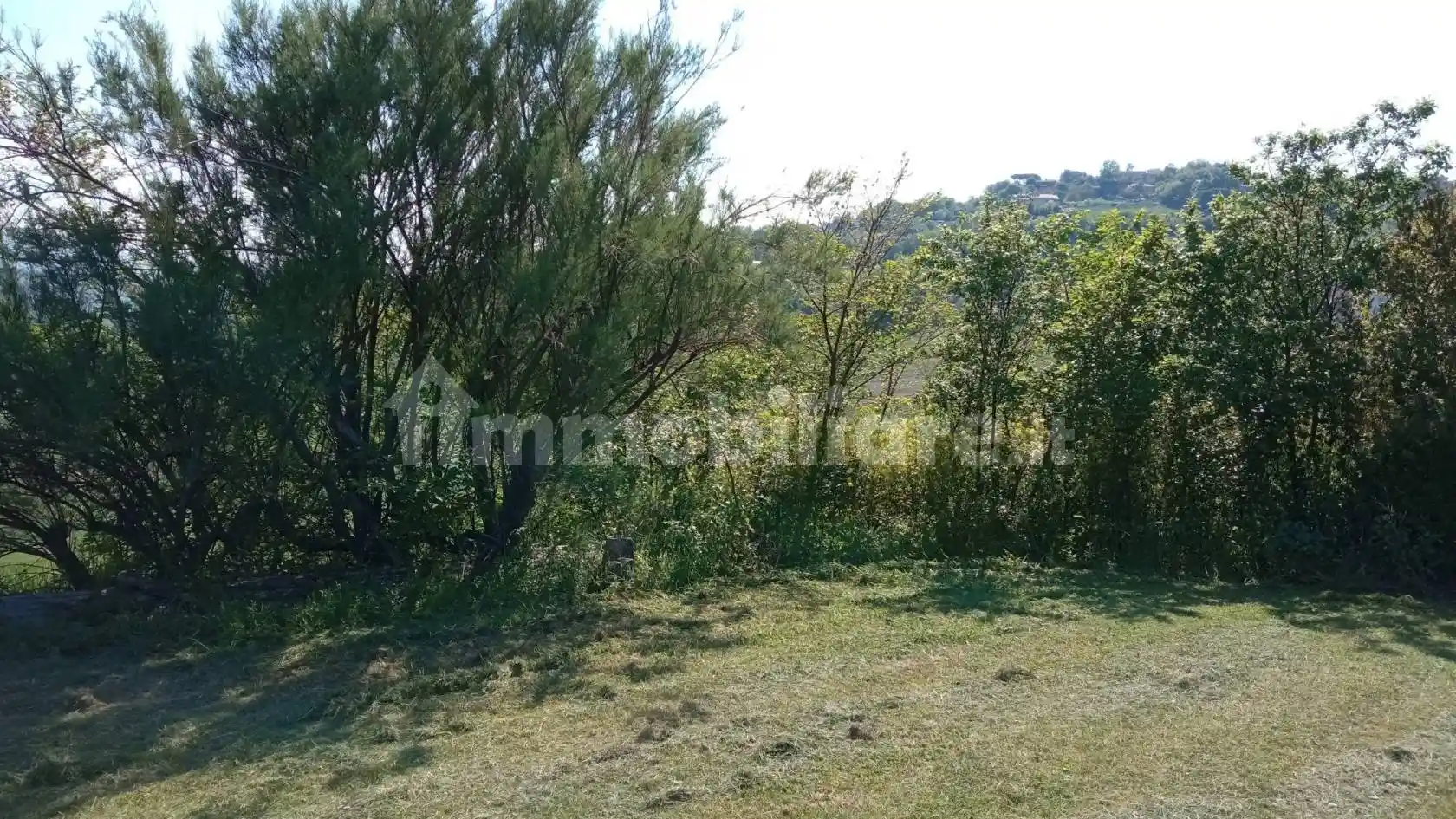 Rustico - Casale in vendita a Verucchio