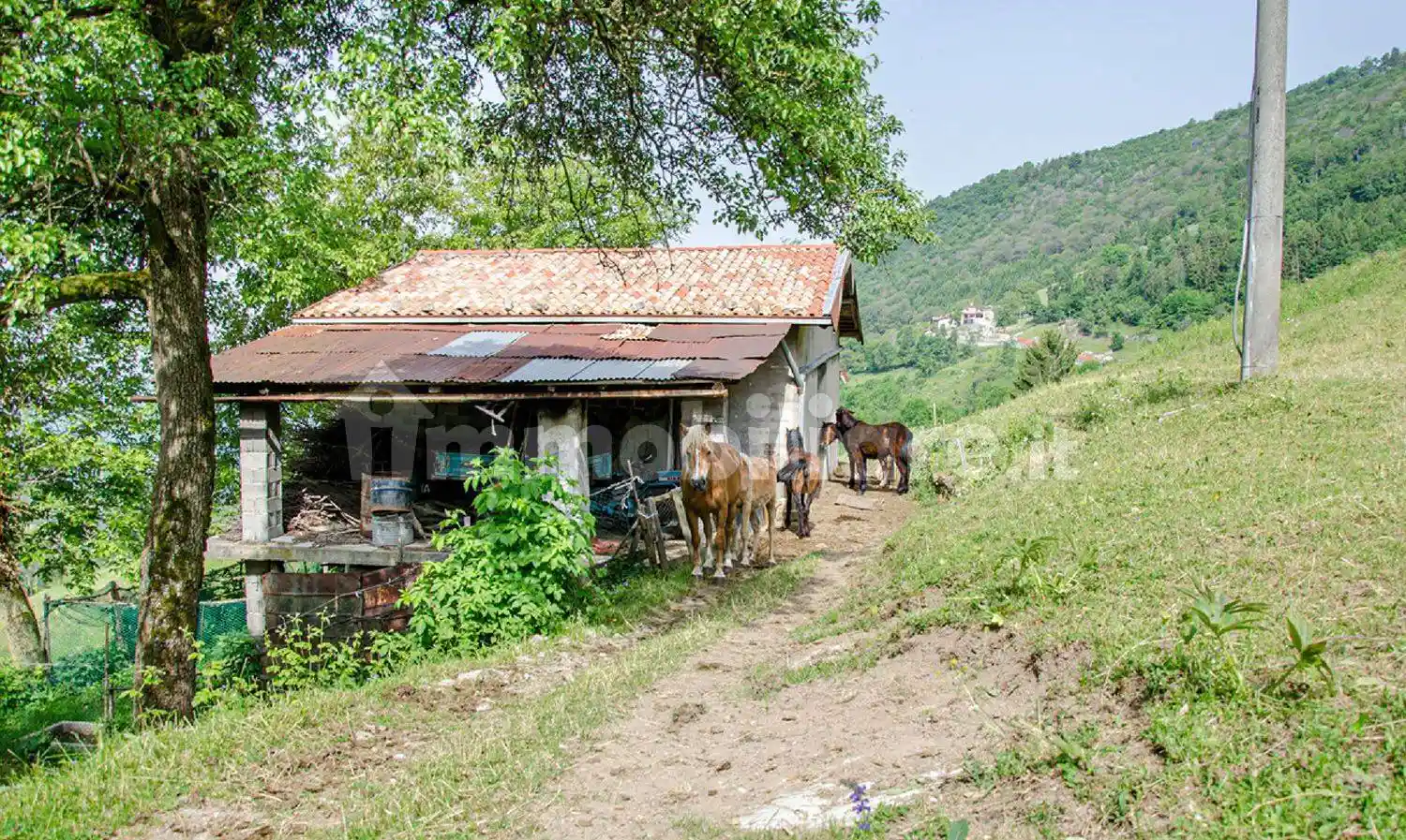 Rustico - Casale in vendita a Grone