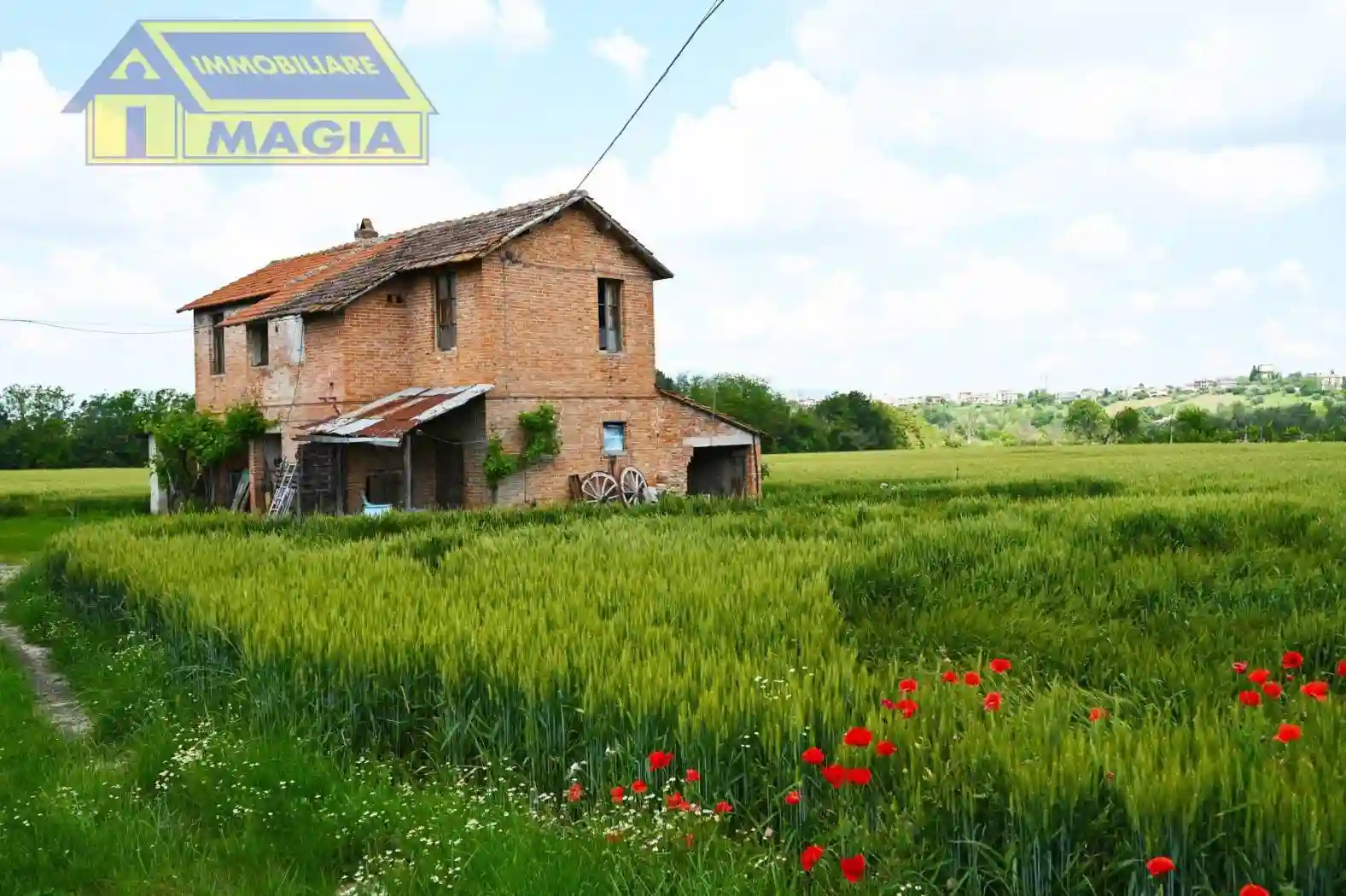 Rustico - Casale - foto 5