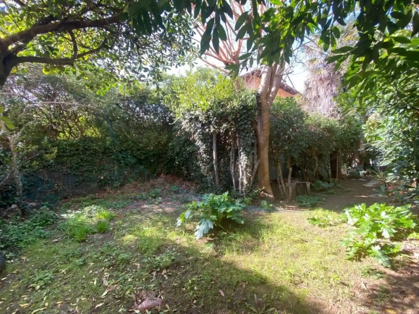 Villa in vendita a Rosignano Marittimo