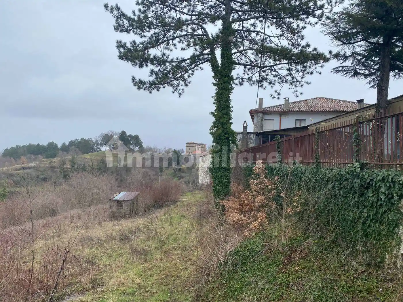 Palazzo - Edificio - foto 5