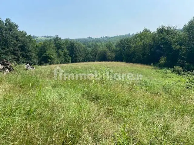 Cascina Località Palmo, Albugnano - foto 4