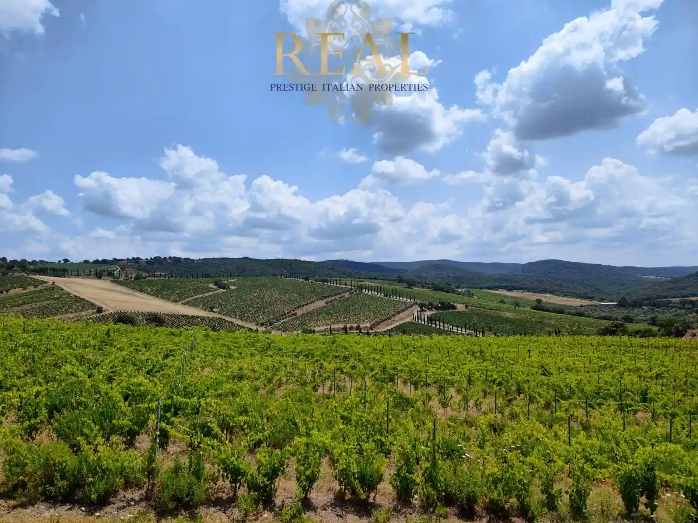 Villa in vendita a Grosseto