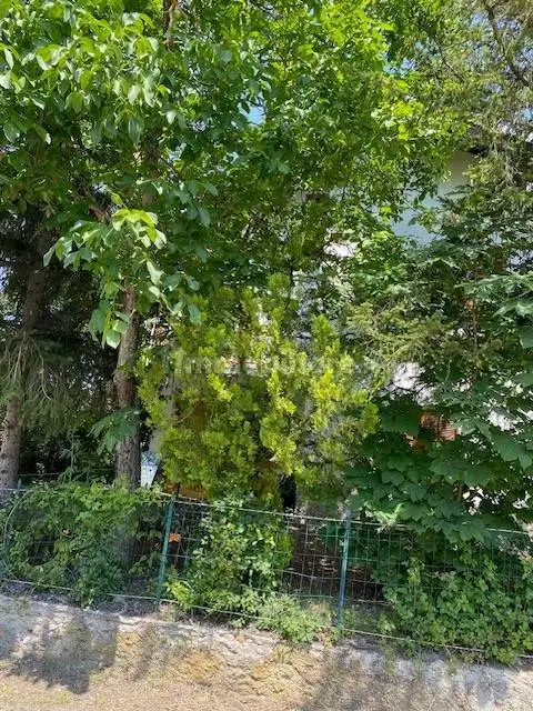 Trilocale Località Pessinate, Cantalupo Ligure - foto 2