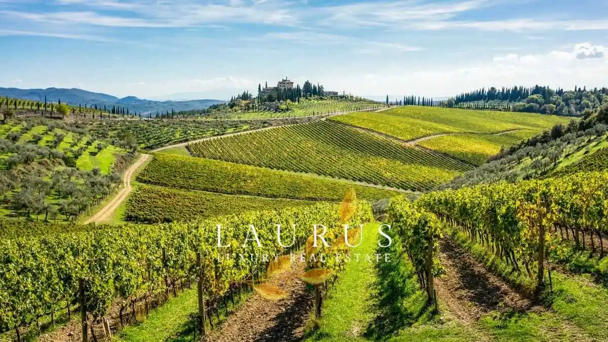 Villa in vendita a San Casciano in Val di Pesa