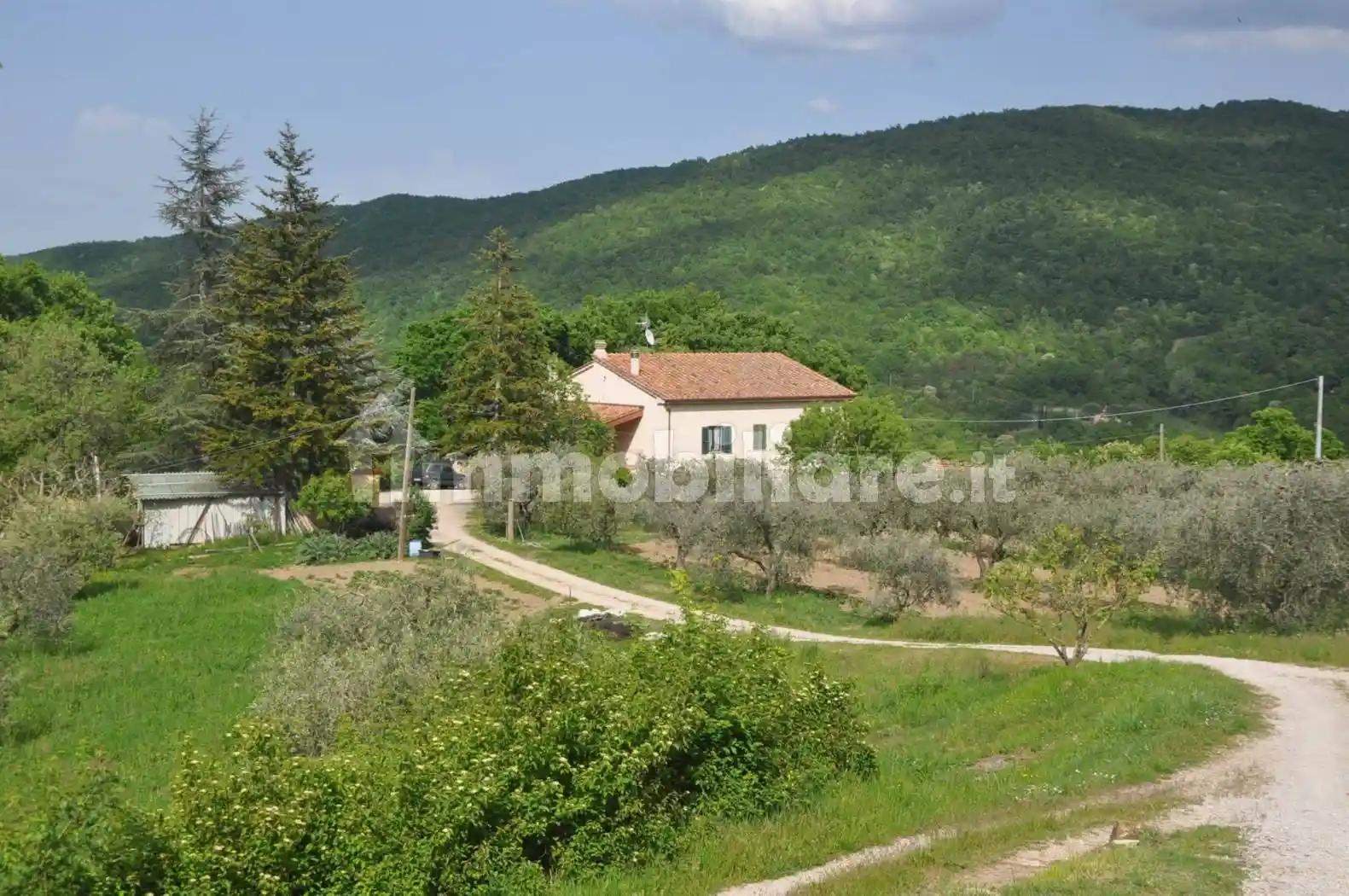 Rustico - Casale in vendita a Castelnuovo di Val di Cecina