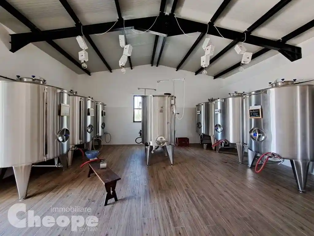 Loft, ottimo stato, piano terra, Chieti Città, Chieti - foto 4