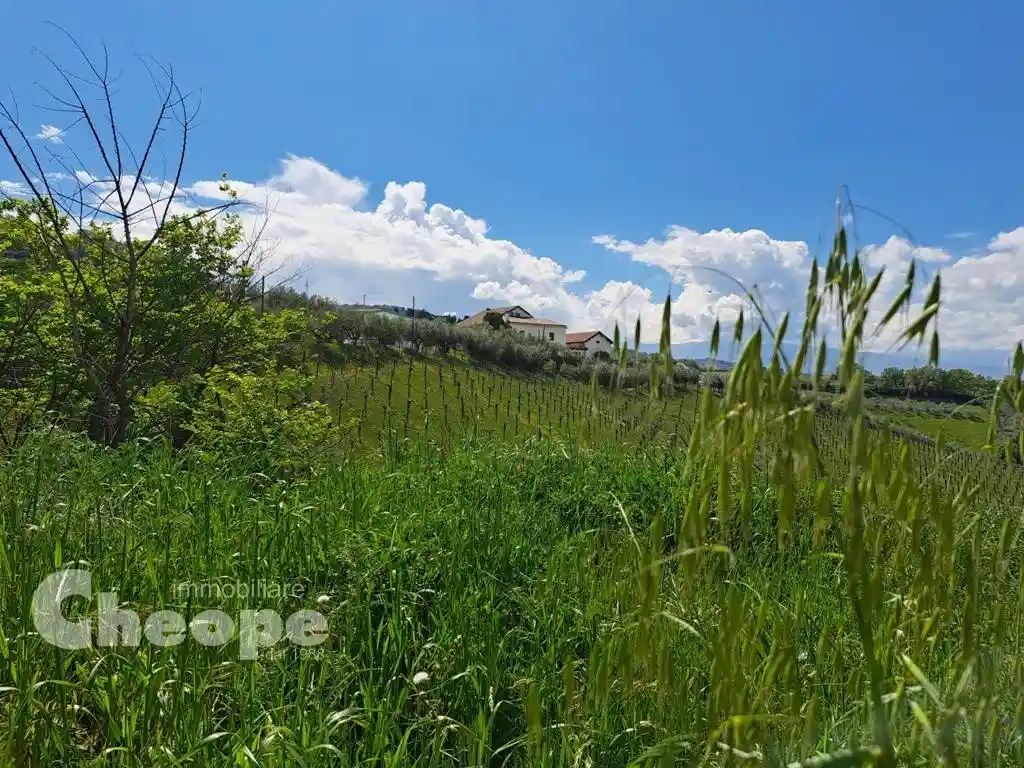 Loft, ottimo stato, piano terra, Chieti Città, Chieti - foto 5
