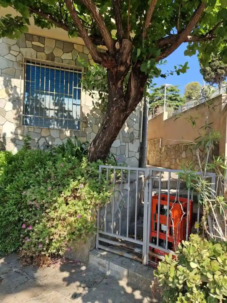 Palazzo - Edificio - foto 5