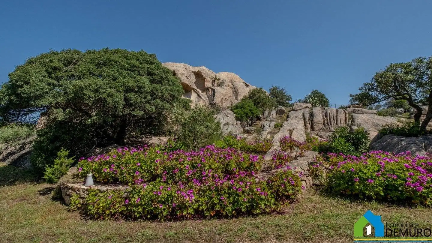 Casale Sp59, Baja Sardinia, Arzachena - foto 3