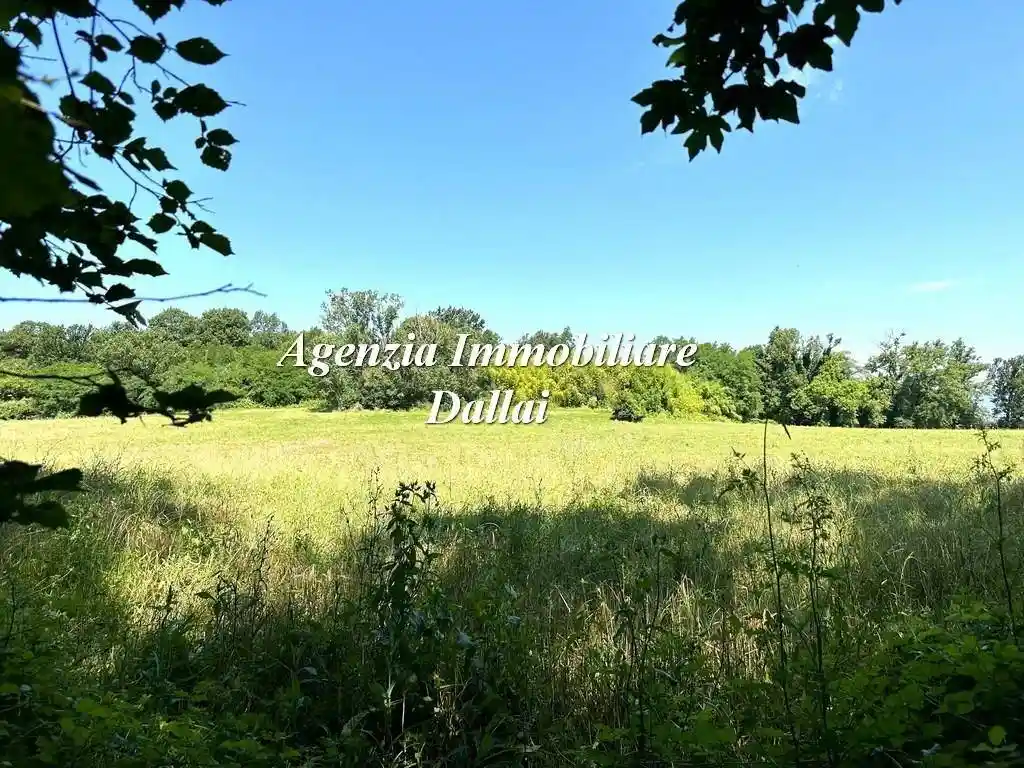 Rustico - Casale in vendita a Borgo San Lorenzo