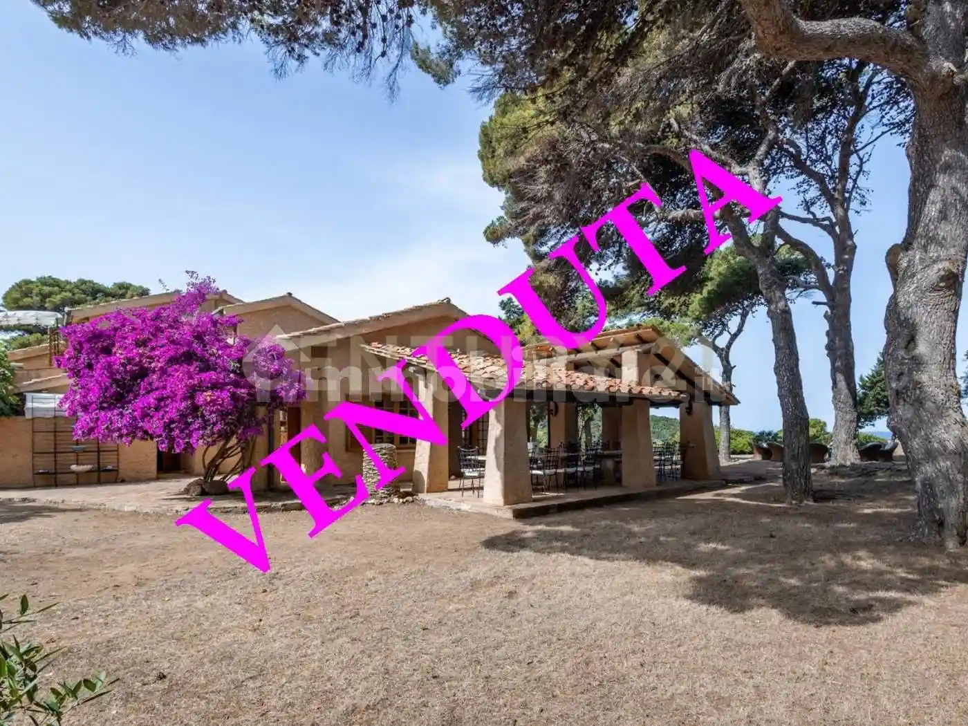 Villa in vendita a Isola del Giglio