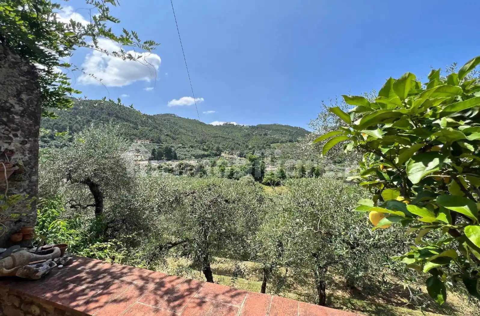 Casale via della Boccaccia, Vorno, Capannori - foto 5