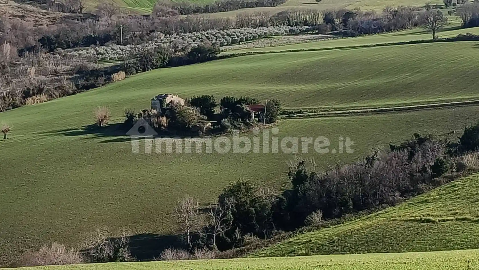 Palazzo - Edificio in vendita a Montelupone